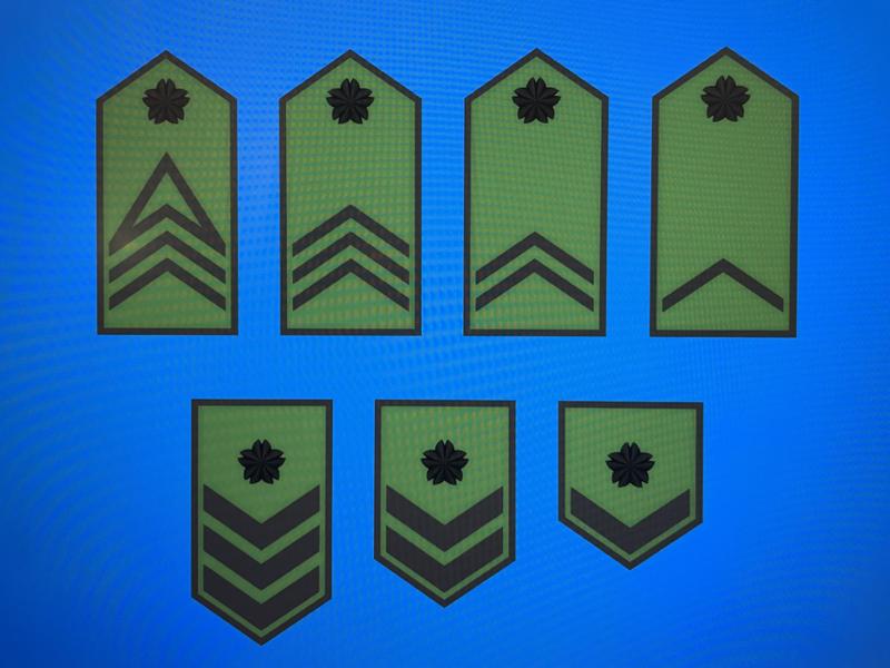 JGSDF Enlisted Ranks (Army)