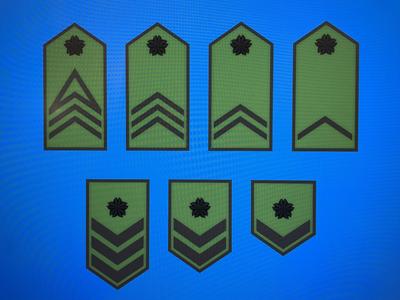 JGSDF Enlisted Ranks (Army)