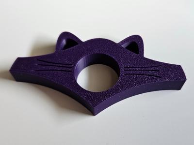 Cat Reading Ring
