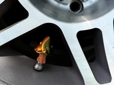 Valve Stem Caps : Mushroom ! For cars and bikes! 