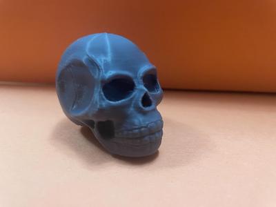 skull