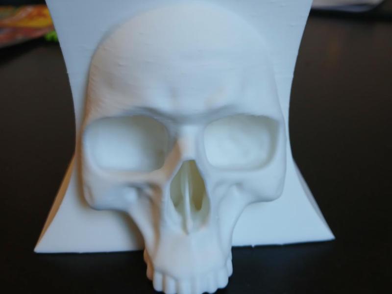 Flowerpot Skull