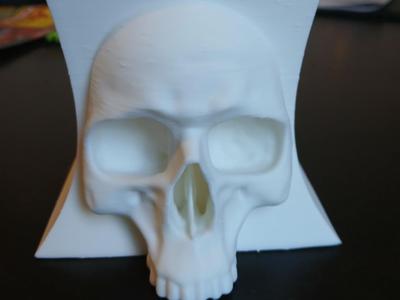 Flowerpot Skull