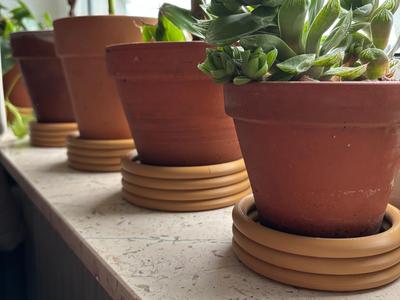 Stylish Plant Pot Coasters – 4 Sizes
