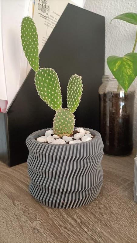 Spinning Gear Planter Pot for Plants