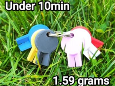 Keychain Tick Remover ( 1.59grams, 10min print)