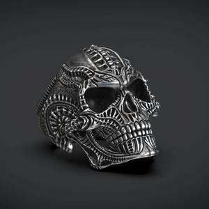 Ring Skull Biomechanics  STL 3d model for 3d printing