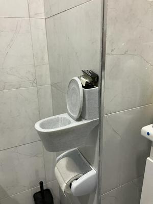 The Toilet Ashpit
