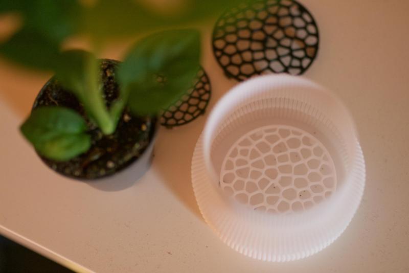 flower pot saucer against waterlogging with voronoi pattern