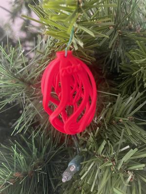 2 In 1 Christmas Ornament 2024