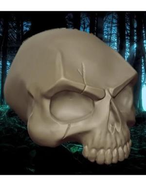 Skull_scar
