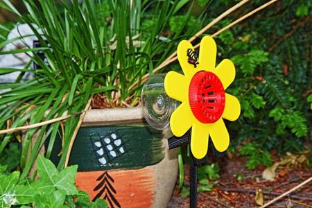Hoornaar val met bloem en bei