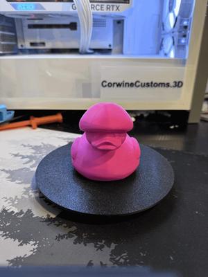 Toadstool Duck