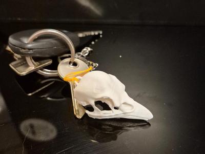 raven skull