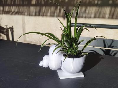 JOli Planter 1 - Shell