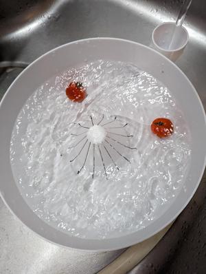 Automatic vegetable and fruit washer- no supports and no assembly required (LARGE version)