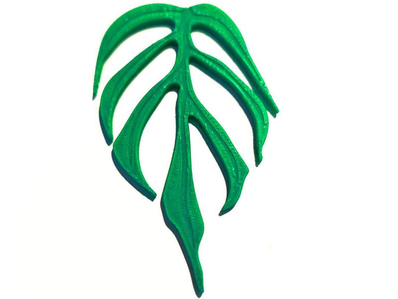 Monstera Leaf Set