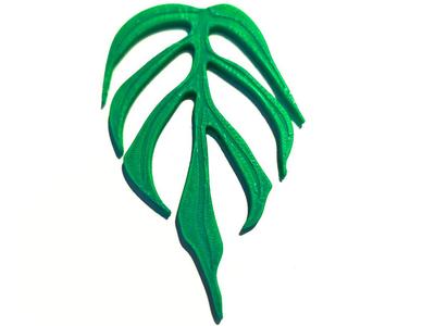 Monstera Leaf Set