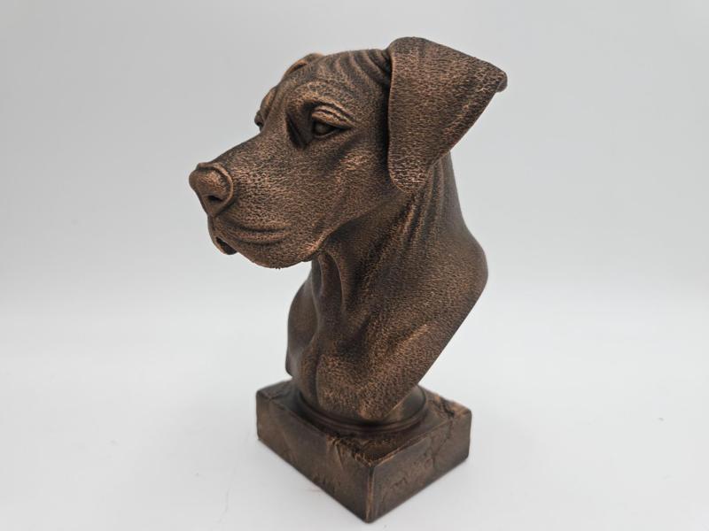 GREAT DANE BUST