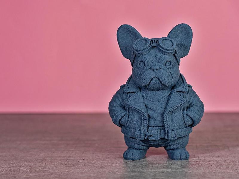 Bully Gang V9 Mr. Biker French Bulldog