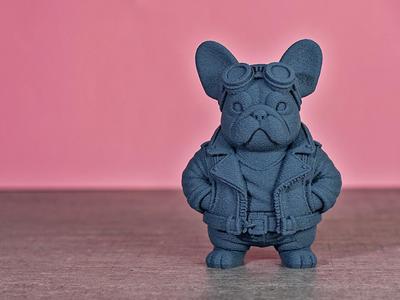 Bully Gang V9 Mr. Biker French Bulldog