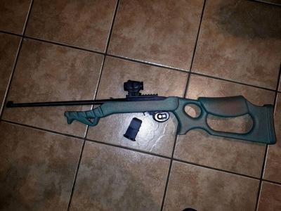 Ruger 10/22 printable stock