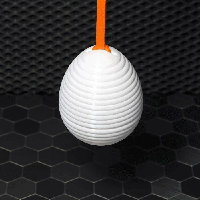 The HiveEgg