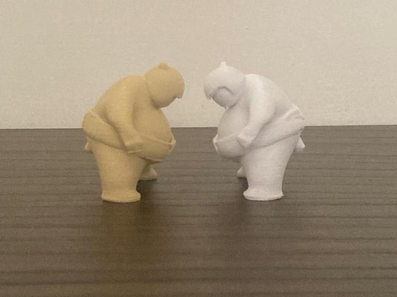 Mini sumo wrestler