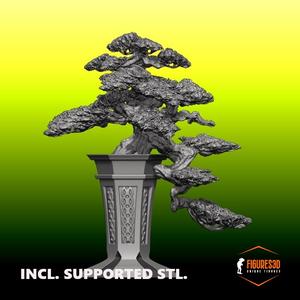 bonsai 3