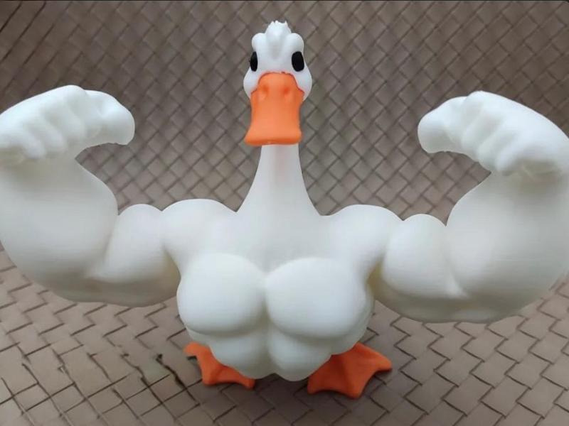 Fat goose (aka Caseoh )