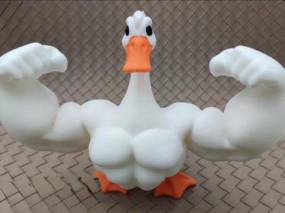 Fat goose (aka Caseoh )