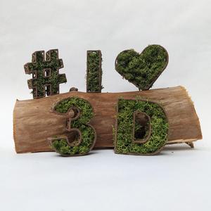 Moss Numbers and Symbols Pack