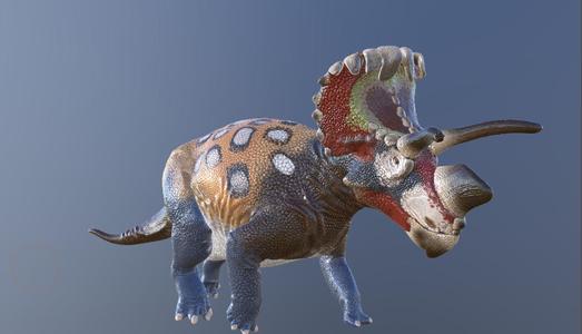 Revised Wendiceratops 2.0