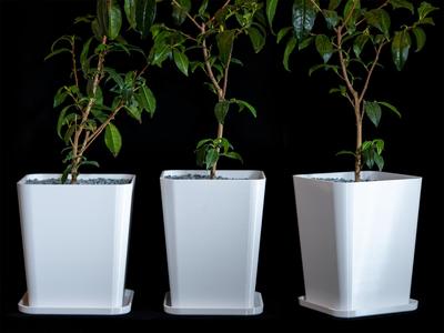 Modern Quadratic Flower Pot in 192 Sizes