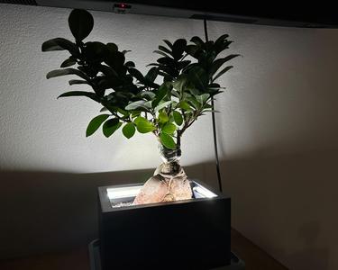 Modern pot with ledstrip 