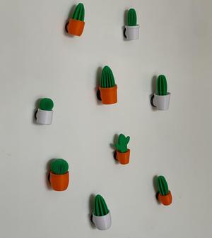 Cacti magnets