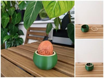 Avocado grow pot