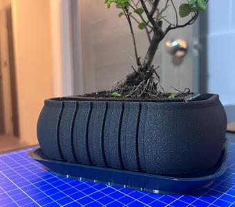Bonsai Planter with optional Drainage Tray