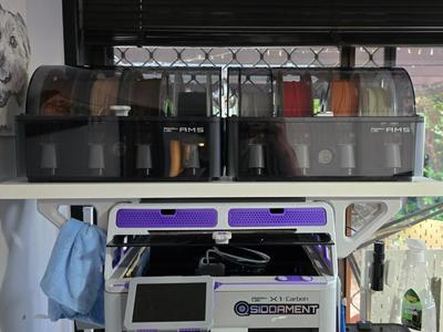 Dual AMS Shelf Support for AMS Riser