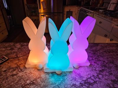 Easter Bunny Light