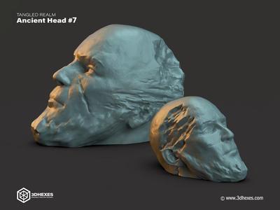 Ancient Head #7 - Tangled Realm
