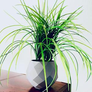 Geometric Vase planter pot 1 