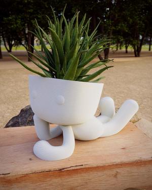 Milo Planter in Love 3D Print Stl File | Stl File For 3D Printers |Home Decor - Digital Download People , Succulent Robert Plant Zen Planter