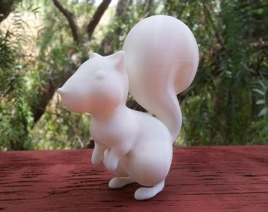 Squirrel 