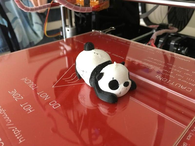 Sleeping Panda - dual color