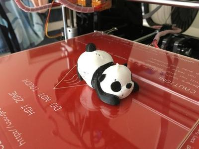 Sleeping Panda - dual color