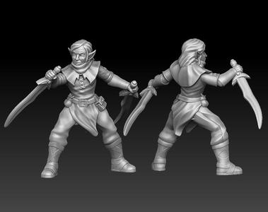 Elf swordmaster with dual swords