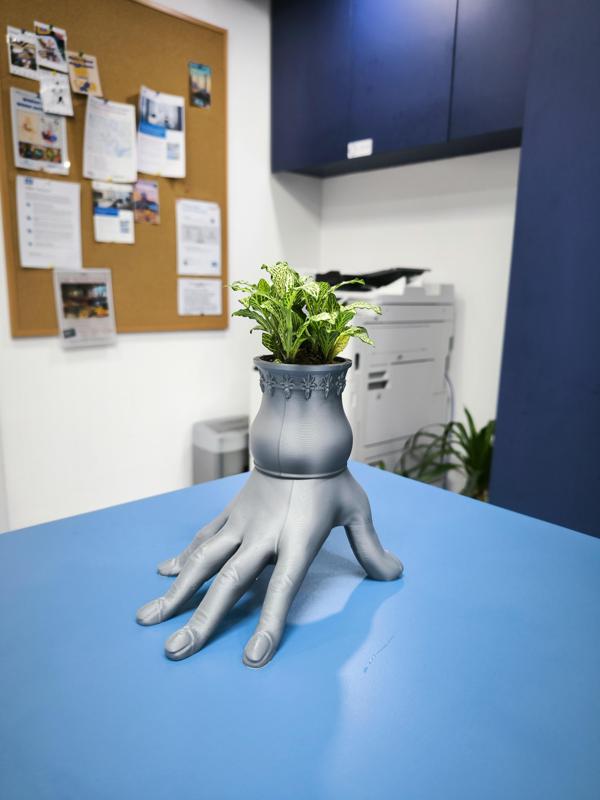 Hand Potted Plant
