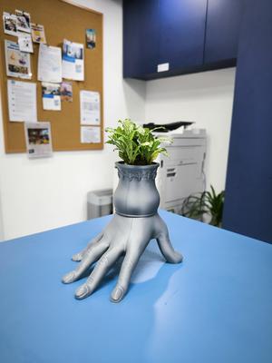 Hand Potted Plant