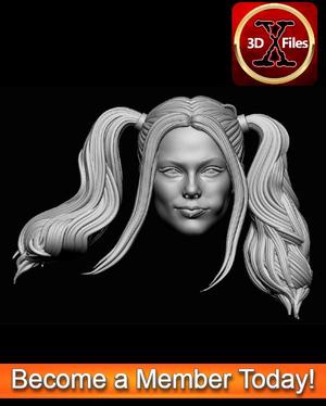 Harley Quinn - Head Sculpt Action Figure - 3D Print File STL